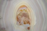 Agate Slab on Metal Base - Brazil #206945-6